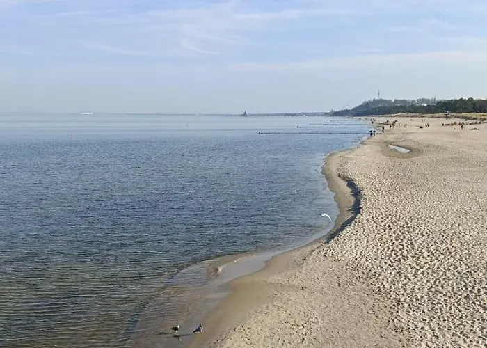 Frieda 2 * 塞巴特黑灵斯多夫